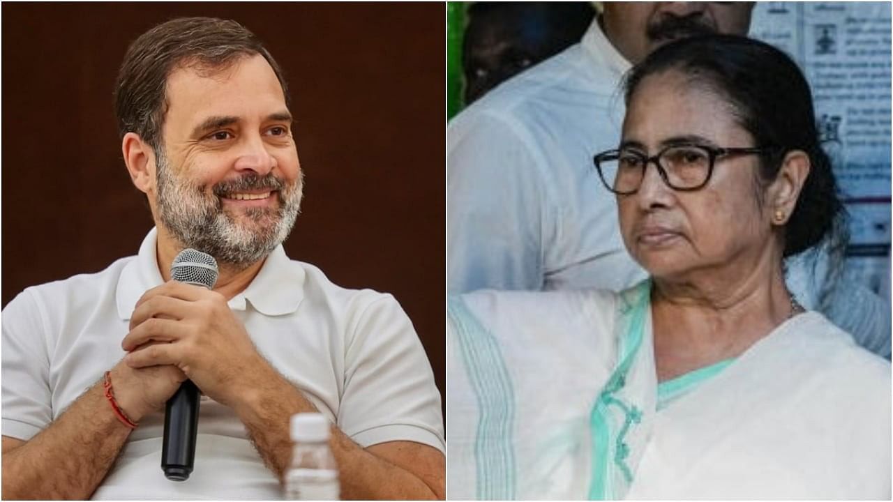 <div class="paragraphs"><p>Rahul Gandhi(L) and TMC supremo Mamata Banerjee.&nbsp;</p></div>